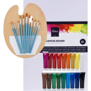 Complete hobby schilderij maken verf set - met canvas schildersdoek van 40 x 30 cm - penselen - verf