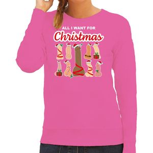 Bellatio Decorations foute kersttrui/sweater voor dames - All I want for Christmas - piemels - roze XS