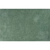 MSV badkamer droogloop mat/tapijt - 40 x 60 cm - met zelfde kleur zeeppompje 300 ml - groen