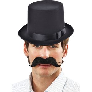 Carnaval verkleed accessoire set - hoge hoed en zelfklevende namaak snor - Verkleedhoofddeksels