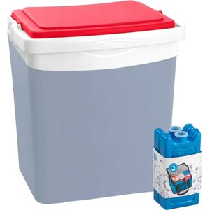 Koelbox met koelelementen - 25 liter - kunststof - grijs - 39 x 29 x 42 cm