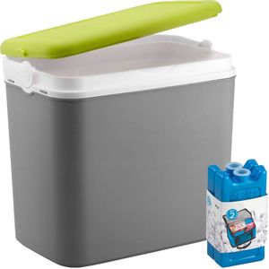 Koelbox met koelelementen - 24 liter - kunststof - grijs - 36 x 27 x 40 cm - Koelboxen