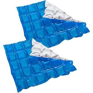 Herbruikbare flexibele koelelementen - 2x - icepack/ijsklontjes - 28 x 25 cm - blauw