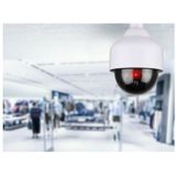 Benson Dummy Beveiligings Camera - 2x - Led dome - kunststof - realistisch - binnen en buiten