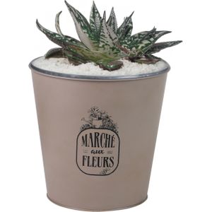 Sunnydays Emmer/plantenpot - zink - taupe - D23 x H22 cm