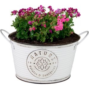 Sunnydays Teil/plantenpot - zink - rond - ivoorwit - D22 x H12 cm