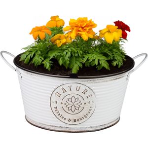 Sunnydays Teil/plantenpot - zink - rond - ivoorwit - D25 x H12 cm