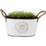 Sunnydays Teil/plantenpot/bloempot - zink - ivoorwit - L29 x D18 x H15 cm