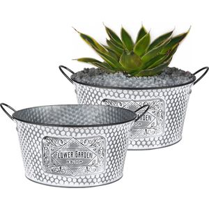 Plantenpot/bloempot teil voor buiten - 2x - zink - zilver - D25.5 x H12 cm - IJzeren emmer / teil