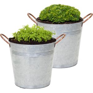 Mega Collections Emmer/plantenpot/bloempot Jean - 2x - zink - zilver - D27 X H25 cm