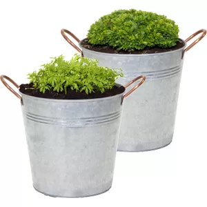 Zilveren Ovale Bloempotten - Plantenpot