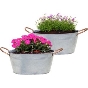 Mega Collections Teil/plantenpot/bloempot Jean - 2x - ovaal - zink - zilver - L27 x D18 X H12 cm