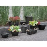 Plantenbak/bloembak Recta - 2x - balkon/terras - zink - zwart - L50 x D17 X H16 cm - IJzeren emmer / teil