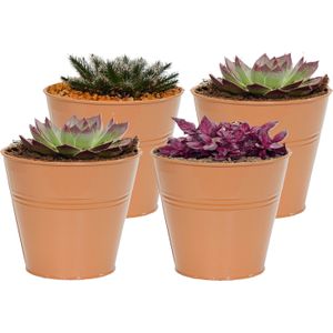 Mega Collections plantenpot/bloempot Bob - 4x - zink - terra - D11 X H10 cm