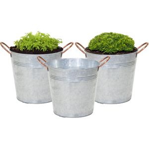 Mega Collections Emmer/plantenpot/bloempot Jean - 3x - zink - zilver - D20 X H17 cm