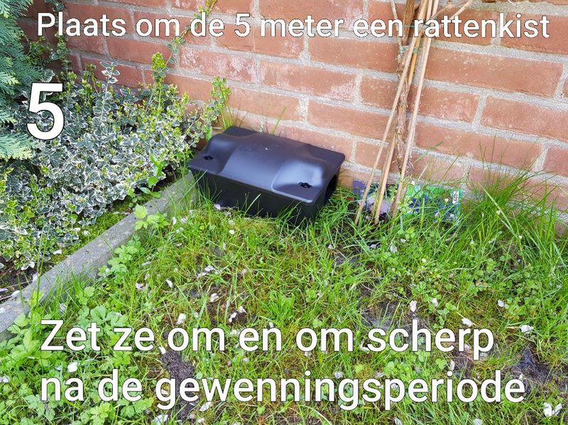 Professionele Rattenvoerdoos + 2 klem
