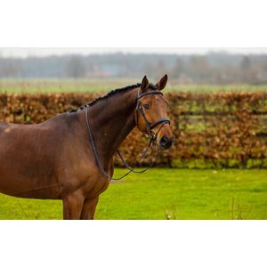 Trust Hoofdstel Amsterdam anatomic - maat Cob - black/silver