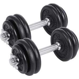 Halterset, dumbbells Gietijzeren Verstelbaar, set van 2, 20 kg, halters, voor mannen Dames Workout Gym Training, Gewichtheffen, voor Home Gym
