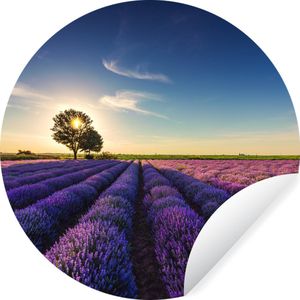 WallCircle - Behangcirkel - Lavendel - Bloemen - Boom - Zon - Landschap - Behangcirkel bloemen - Behangcirkel zelfklevend - Zelfklevend behang - 100x100 cm - Cirkel behang - Behang rond