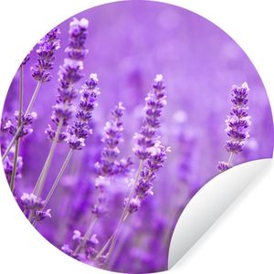 Behangcirkel - Zelfklevend behang - Bloemen - Paars - Lavendel - Natuur - Rond behang - Behang zelfklevend - 80x80 cm - Behangcirkel zelfklevend - Cirkel behang - Slaapkamer