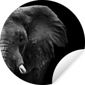 Behangcirkel - Wilde dieren - Olifant - Zwart - Wit - Zelfklevend behang - ⌀ 30 cm - Behangcirkel zelfklevend - Behang cirkel - Cirkel behang