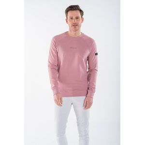 P&S - MICK - Sweater - Lila - Katoen - Raglan