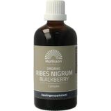 Mattisson - Biologisch Ribes Nigrum complex tinctuur - 100 ml