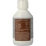 Vitamine C - IJzer - Supplement - 100 Tabletten