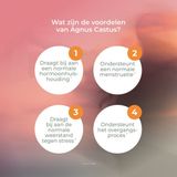 Mattisson - MenstruCare Vitex Agnus Castus - Menstruatie Supplement - Regulering Hormonen - 60 Capsules