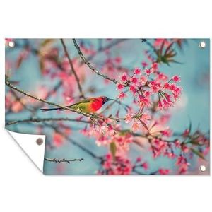 Tuinposter - Toekan - Vogel - Jungle - Nu 40% korting