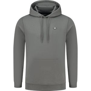 MV Hoodie - Grijs - Essentials - Max Verstappen