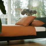 Kayori - Kiyo - Dekbedovertrek - Donkertaupe - 100% Tencel - Inclusief Kussenslopen