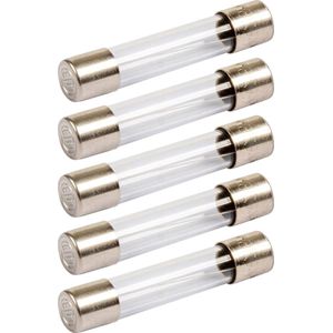 Glaszekeringen 5x20mm F(snel) - 200mA - Beschermt tegen kortsluiting - 5 stuks