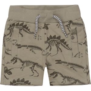 Dirkje - Jongens short - Faded sage - maat 56