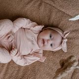 Dirkje T-Shirt Lange Mouw Light Dusty Pink