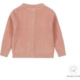Dirkje meisjes vest - Licht rose