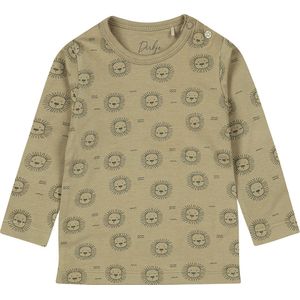 Dirkje BIO Katoen - Shirt - Faded Green - Met printje