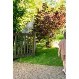 Koko Noko - Overhemd - Faded Brown - Korte Mouwen