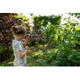 Koko Noko - T-shirt - Groen - Katoen - Korte Mouwen