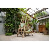 Koko Noko Jongens Broek - Taupe