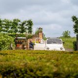 Koko Noko jongens zomerjas - Marine