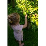 Koko Noko korte jurk roze