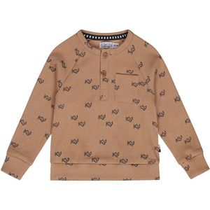 Dirkje-Jongens Sweater ls-Brown