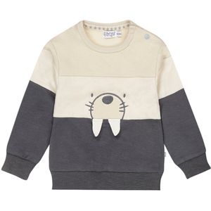 Dirkje - Sweater - Meerkleurig