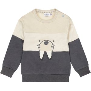 Dirkje - Jongens Trui - Navy - Colorblock - Met Dierenprint