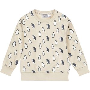 Dirkje - Sweater - Stretchkatoen - Met Lange Mouwen - Ronde Hals