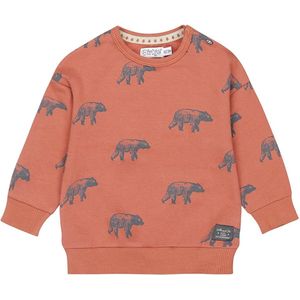 Dirkje - Jongens Trui - Roestkleurig - Met Berenprint