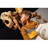 Koko Noko - Hoodie - Bruin - Gebreid