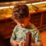 Koko Noko - Longsleeve - Groen