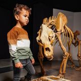 Koko Noko - Jongens Trui - Donkerbruin